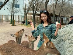 -水上乐园·欢乐世界