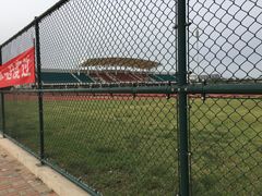 -南开大学滨海学院