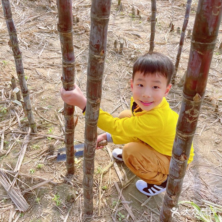 体验农家生活日常·龙余农场🐔🦆🥚🐟🥬