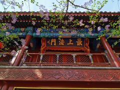 -大觉寺-停车场