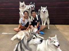 -TrueLove @ Neverland (Husky Cafe)