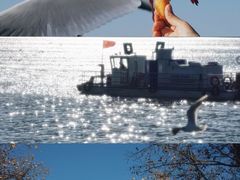 -海埂大坝