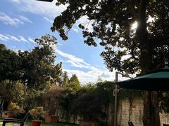 -大可堂普洱茶馆(襄阳南路馆)