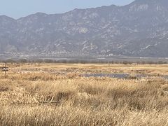 -野鸭湖国家湿地公园