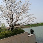 -苏州湾王焰温泉度假酒店