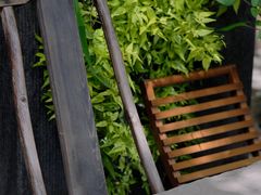 -扫雪煮茶(西村店)