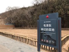 -延安杨家岭革命旧址