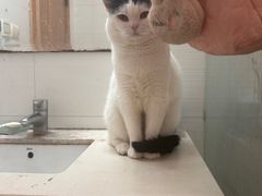 -派特宠物医院(圆融广场店)