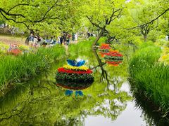 -上海共青森林公园