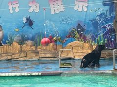 -合肥野生动物园