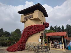 -云南民族村