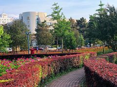 -吉林大学(前卫南区)