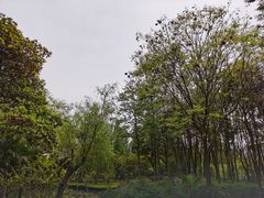 -苏州河梦清园环保主题公园