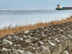 -上海滨江森林公园