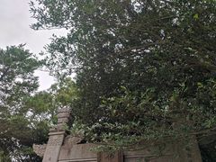 -普陀山慧济禅寺