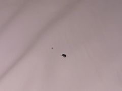 -启东恒大海上威尼斯酒店