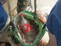 -北海金海湾红树林生态旅游区