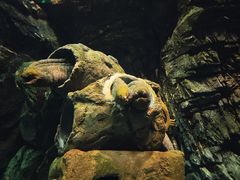 -珠海长隆海洋王国