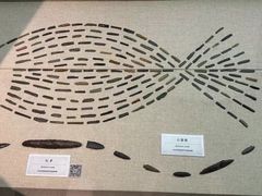 -巴音郭楞蒙古自治州博物馆