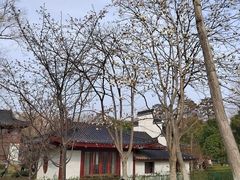 -堤角公园