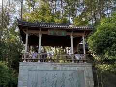 -千岛湖东南湖区