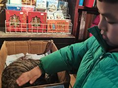 -正阳书局(西四南大街店)