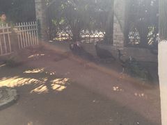 -荆州中山公园动物园