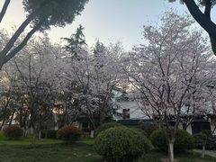 -堤角公园
