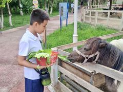 -水上乐园·欢乐世界