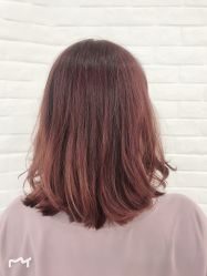 -程Studio