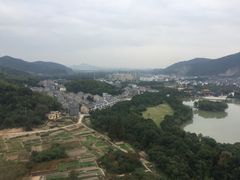 -天下玉苑