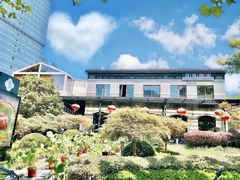 -荷风细雨·中国茶宴(碧云店)