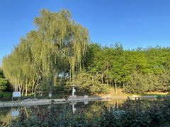 -东升八家郊野公园