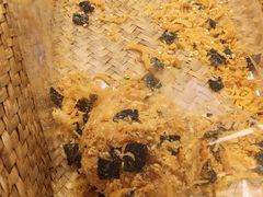 -山山家·新鲜烘焙(现代城店)