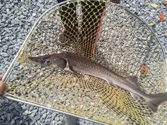 -DGE季风钓虾营地·团建·聚会
