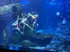 -多彩贵州城极地海洋世界