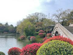 -桃花岛景观公园