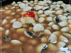 -顺德哥卜卜贝(旗舰店)