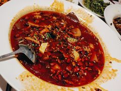 -天辣(金桥啦啦宝都店)
