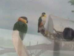 -石家庄市动物园