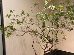 -上座云间·青年赣菜(绿茵店)