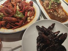 -杨氏青龙虾·羊蝎子(托乐嘉店)