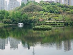 -重庆彩云湖湿地公园