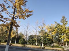-浙江农林大学(东湖校区)