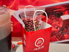 -海底捞火锅(公益西桥店)