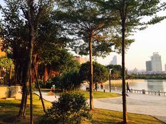 -白鹭洲公园