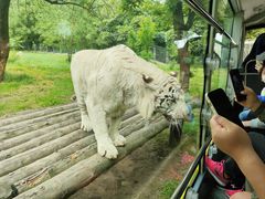-西安秦岭野生动物园