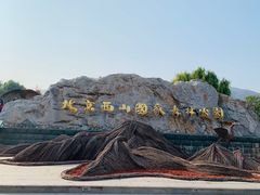 -北京西山国家森林公园