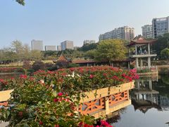 -深圳龙潭公园