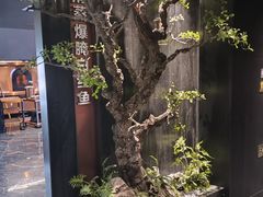 -苏淮景·苏闽融创菜·海鲜(原空港井河轩店)